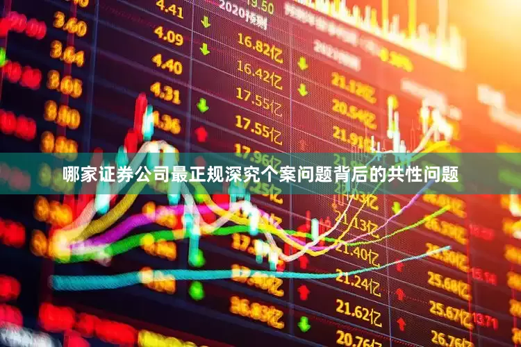哪家证券公司最正规深究个案问题背后的共性问题