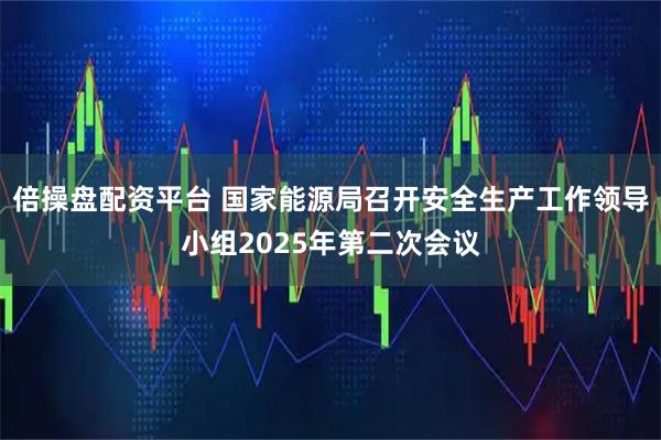 倍操盘配资平台 国家能源局召开安全生产工作领导小组2025年第二次会议